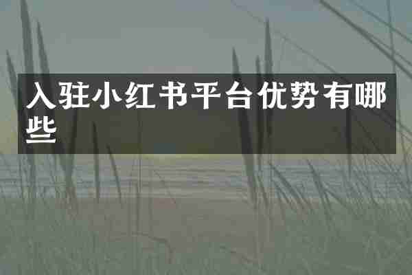 入驻小红书平台优势有哪些