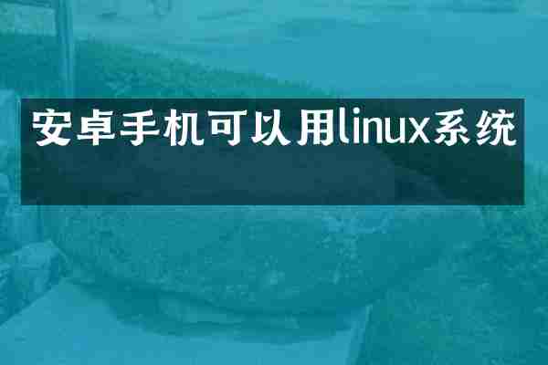 安卓手机可以用linux系统吗