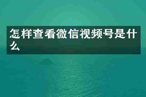 怎样查看微信视频号是什么