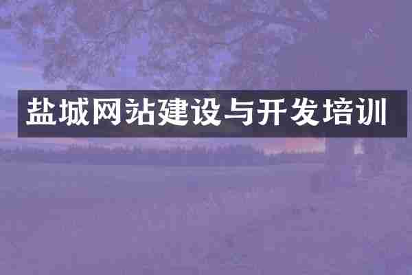 盐城网站建设与开发培训