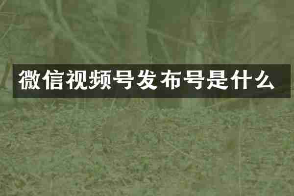 微信视频号发布号是什么