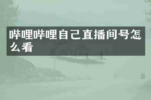 哔哩哔哩自己直播间号怎么看