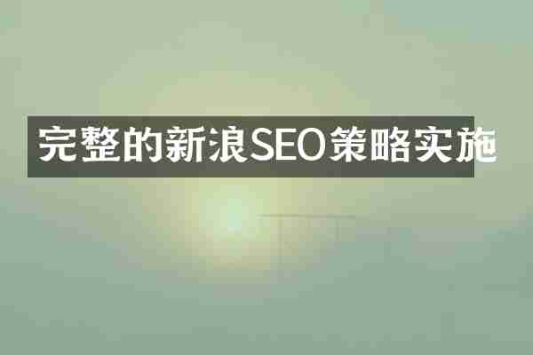 完整的新浪SEO策略实施