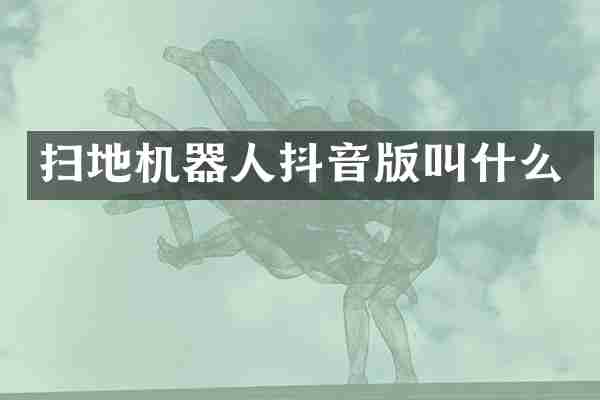 扫地机器人抖音版叫什么