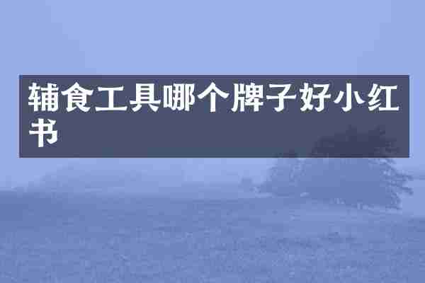 辅食工具哪个牌子好小红书