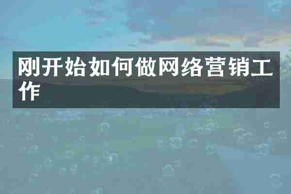 刚开始如何做网络营销工作