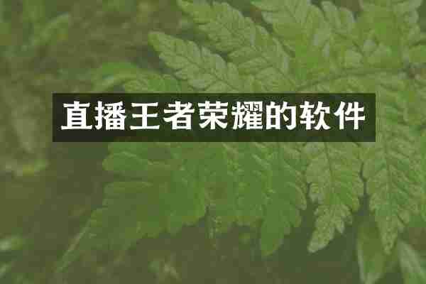 直播王者荣耀的软件