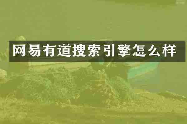 网易有道搜索引擎怎么样