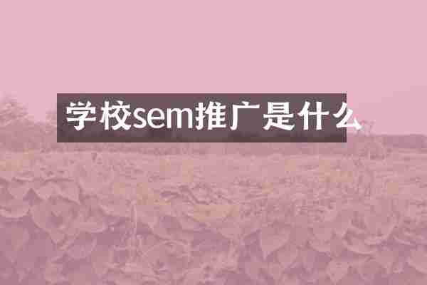 学校sem推广是什么