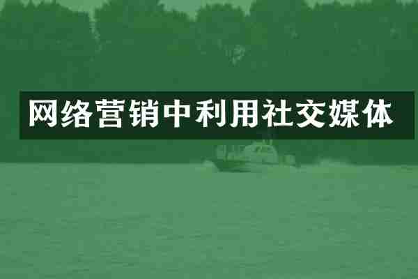 网络营销中利用社交媒体