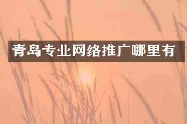 青岛专业网络推广哪里有