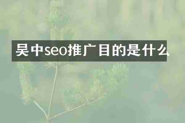 吴中seo推广目的是什么