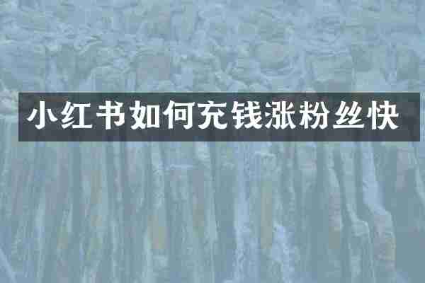 小红书如何充钱涨粉丝快