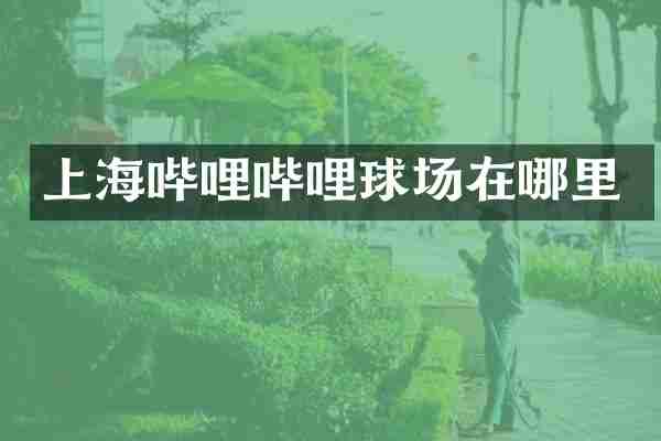上海哔哩哔哩球场在哪里