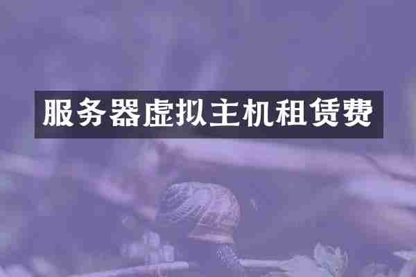 服务器虚拟主机租赁费