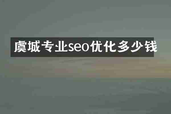 虞城专业seo优化多少钱