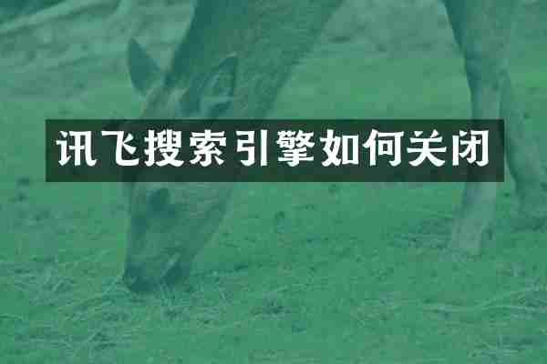 讯飞搜索引擎如何关闭