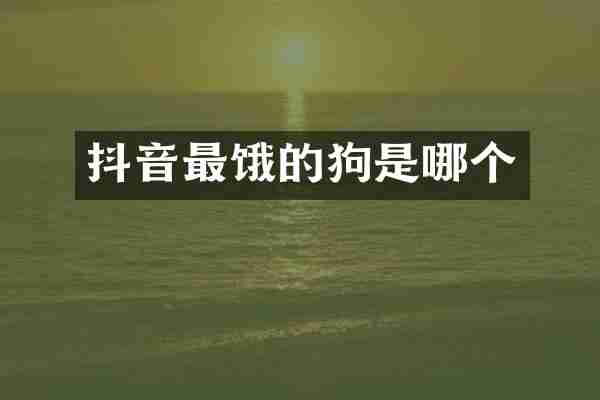 抖音最饿的狗是哪个