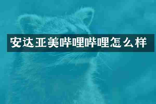 安达亚美哔哩哔哩怎么样