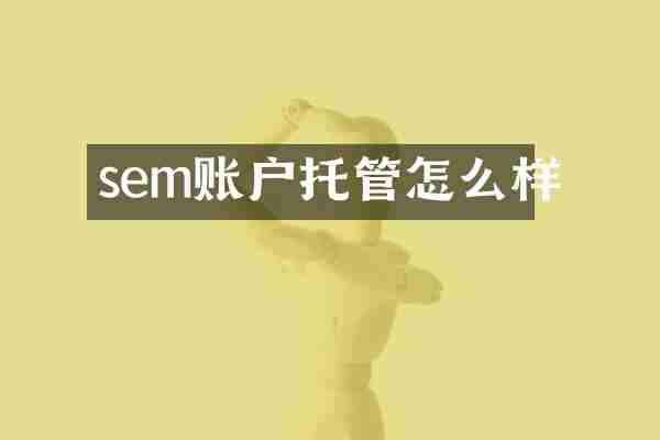 sem账户托管怎么样