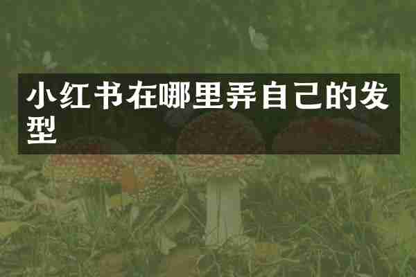 小红书在哪里弄自己的发型