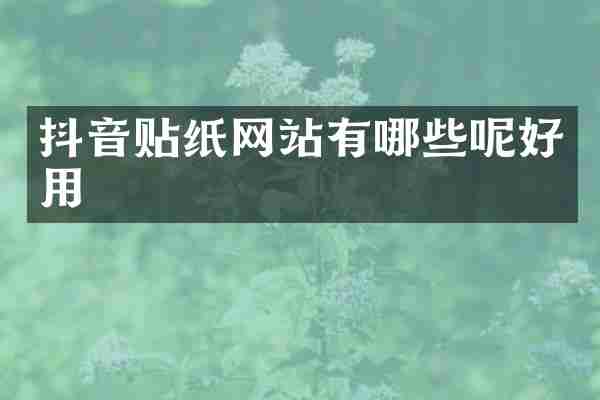 抖音贴纸网站有哪些呢好用