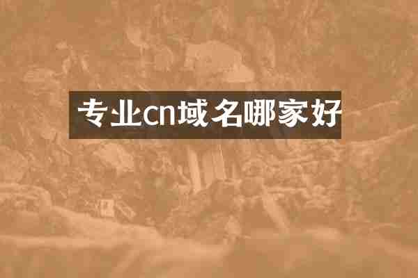 专业cn域名哪家好