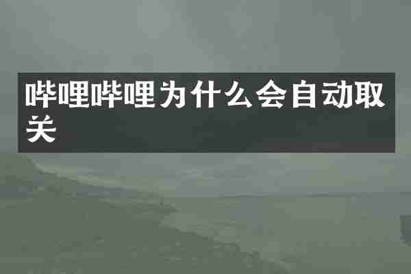 哔哩哔哩为什么会自动取关