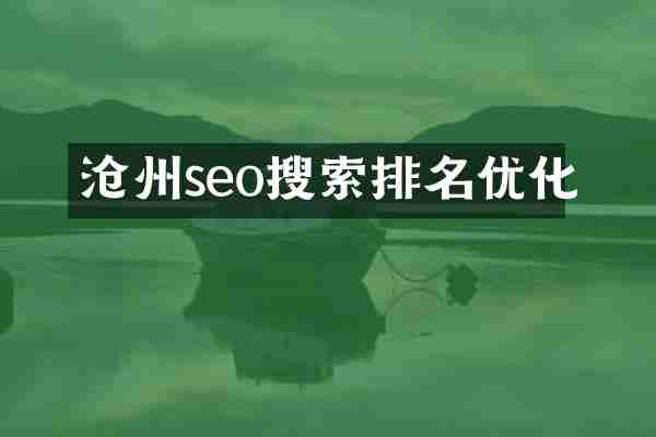 沧州seo搜索排名优化