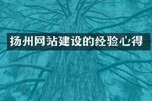 扬州网站建设的经验心得