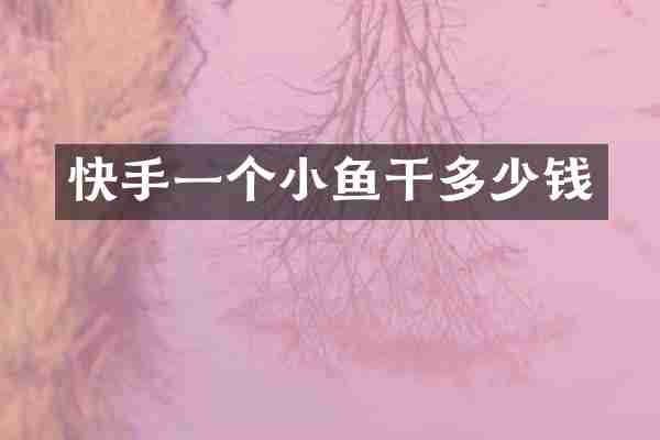 快手一个小鱼干多少钱