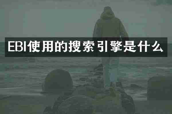 EBI使用的搜索引擎是什么