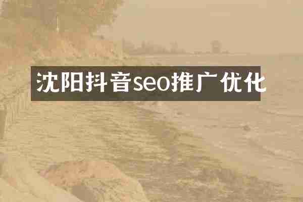 沈阳抖音seo推广优化