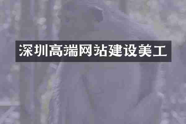 深圳高端网站建设美工