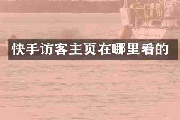 快手访客主页在哪里看的