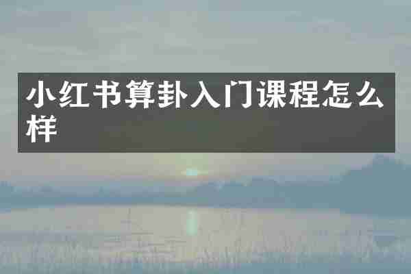 小红书算卦入门课程怎么样