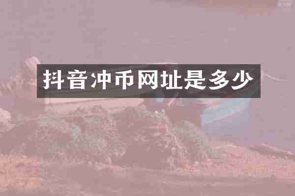 抖音冲币网址是多少