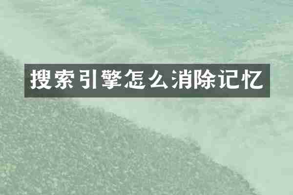 搜索引擎怎么消除记忆