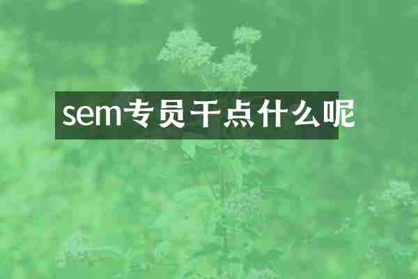 sem专员干点什么呢