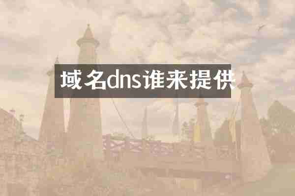 域名dns谁来提供