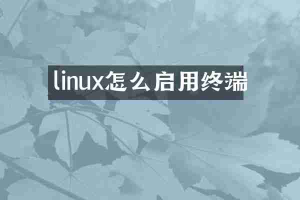 linux怎么启用终端