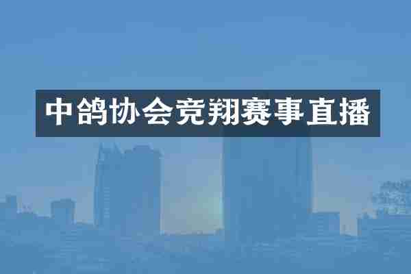中鸽协会竞翔赛事直播
