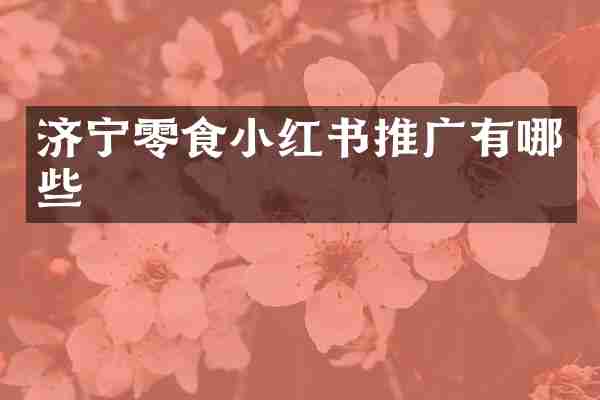 济宁零食小红书推广有哪些