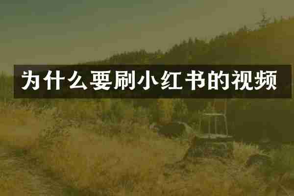 为什么要刷小红书的视频