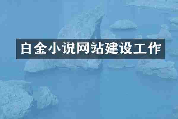 白金小说网站建设工作
