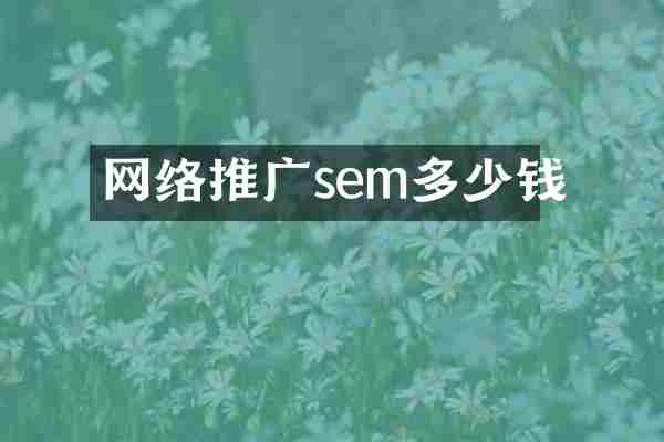 网络推广sem多少钱