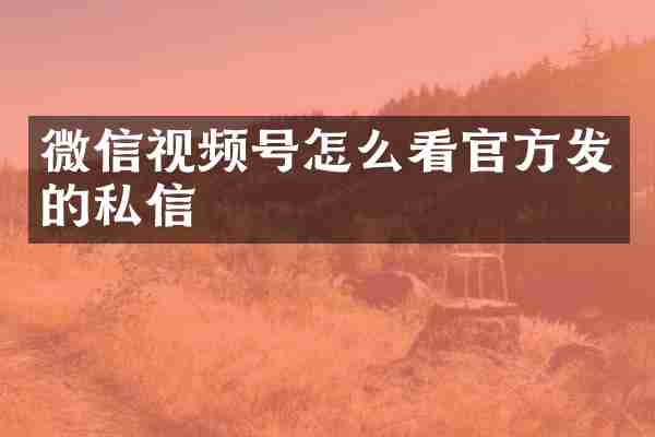 微信视频号怎么看官方发的私信