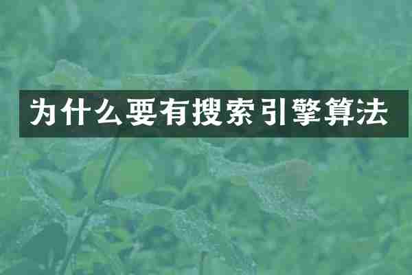 为什么要有搜索引擎算法