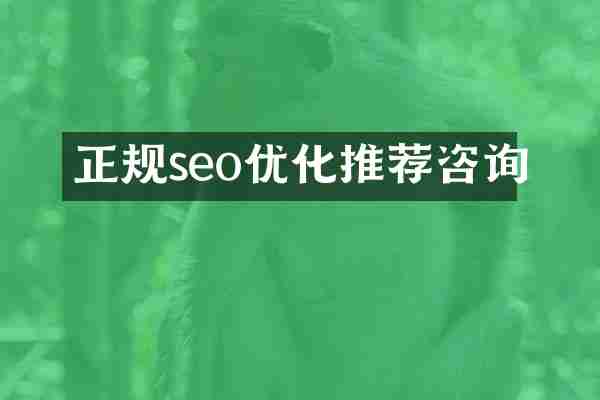 正规seo优化推荐咨询