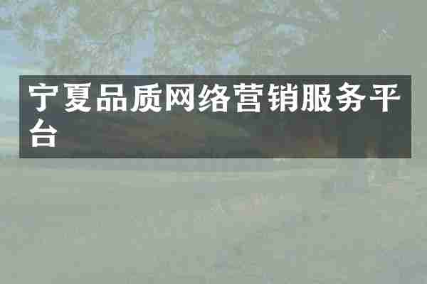 宁夏品质网络营销服务平台